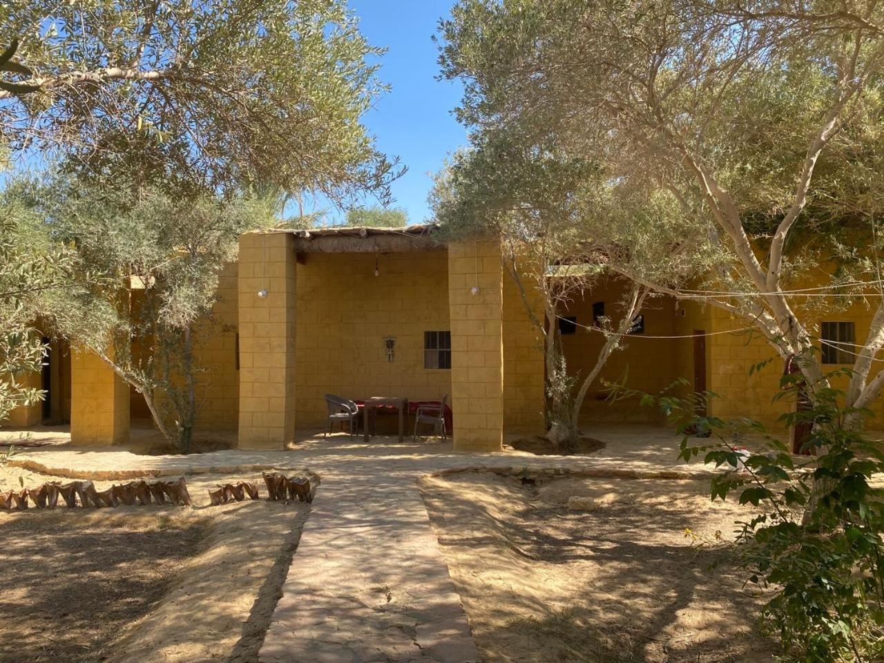 Fada Morgana Hotel Siwa Oasis Ngoại thất bức ảnh